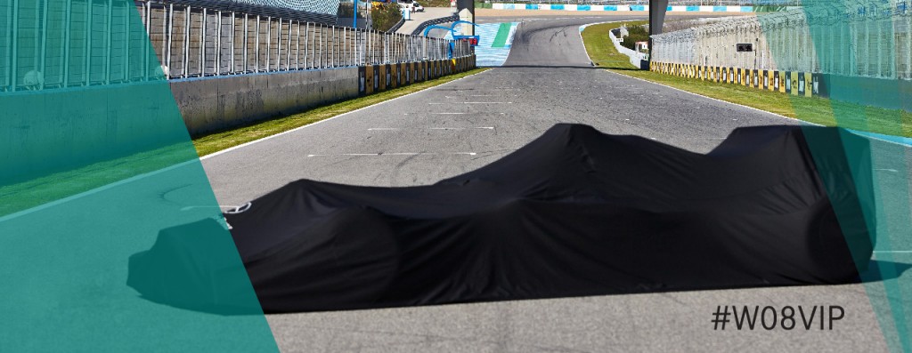 Mercedes_W08VIP